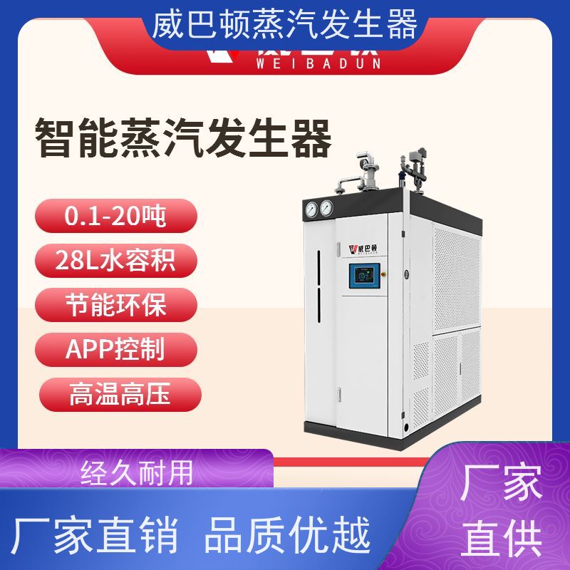  节能环保 工业蒸汽发生器 水容积≤30L，合规又省心 橡胶厂