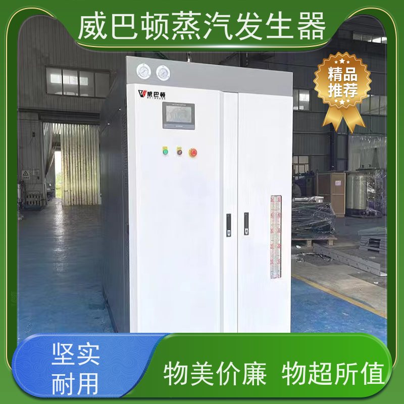  灭菌消毒 模块锅炉 水容积≤30L，合规又省心 泡沫厂