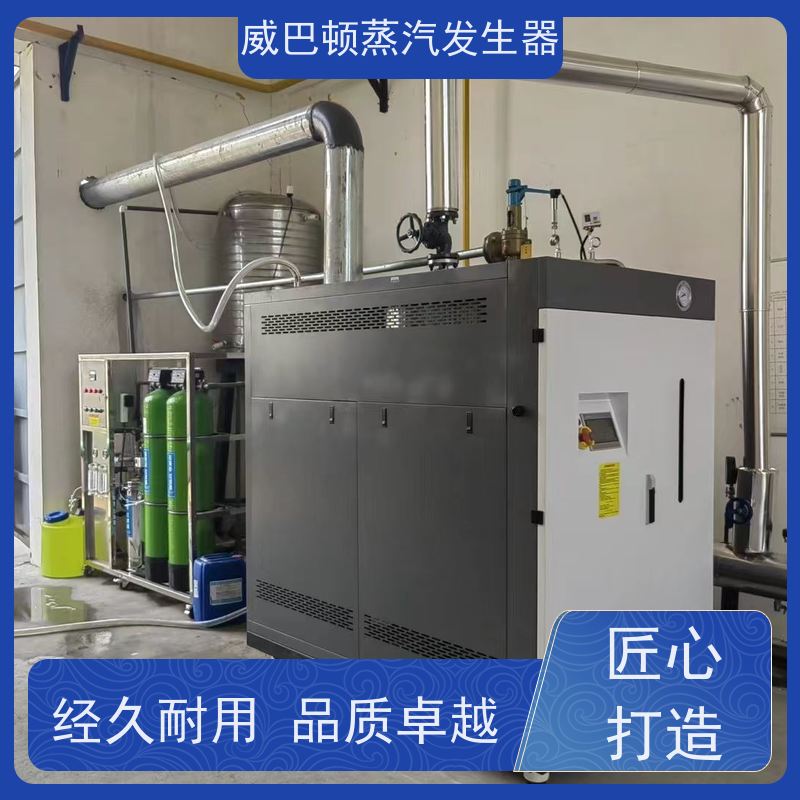  低氮冷凝 工业蒸汽发生器 多台并联省气稳供 造纸厂
