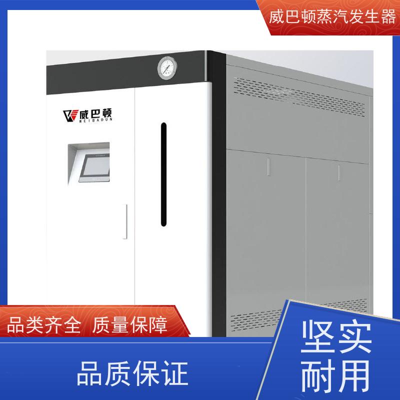  免备案 0.6T蒸汽发生器 热效率 101% 还省气 印染厂