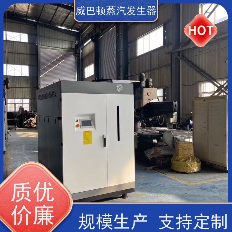  免备案 高压蒸汽锅炉 热效率 101% 还省气 豆腐腐竹加工厂
