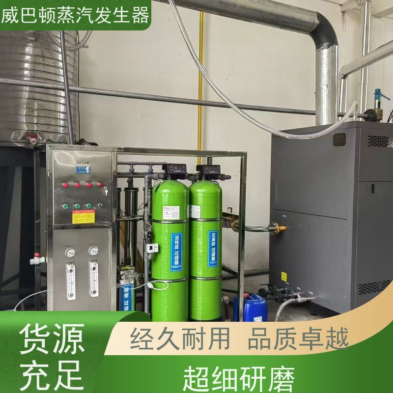  免特检 10T蒸汽发生器 多台并联省气稳供 智能控温