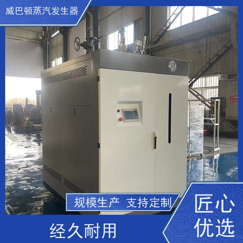  免特检 工业蒸汽发生器 水容积≤30L，合规又省心 豆腐腐竹加工厂