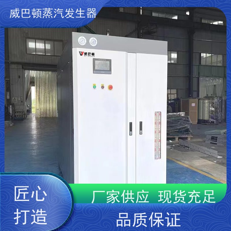  灭菌消毒 5吨蒸汽锅炉 多台并联省气稳供 酿酒厂