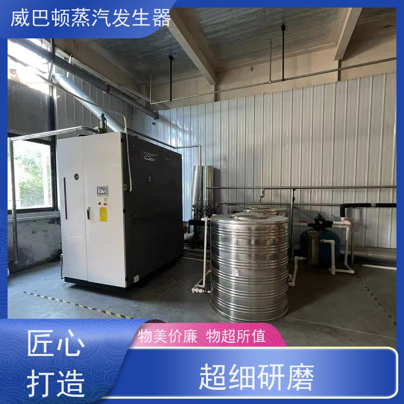  节能环保 模块蒸汽发生器 热效率 101% 还省气 造纸厂