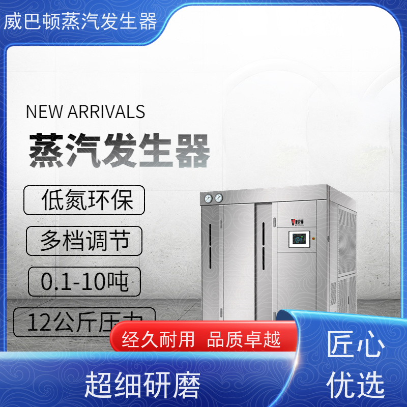  烘干熨烫 1吨蒸汽发生器 多台并联省气稳供 反应釜