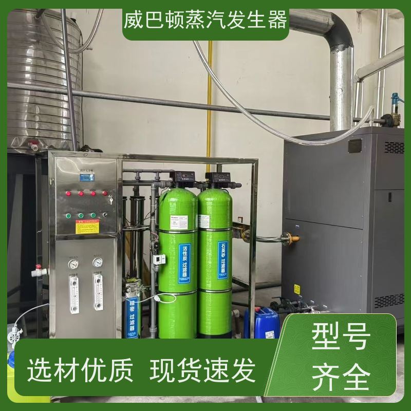  免特检 洗涤蒸汽发生器 热效率 101% 还省气 豆腐腐竹加工厂