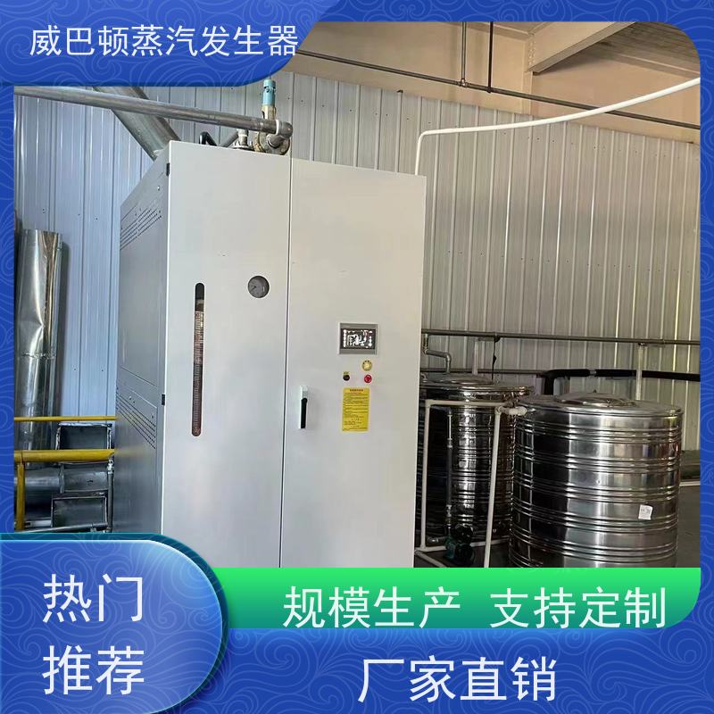 免登记 小型锅炉 水容积≤30L，合规又省心 化工厂