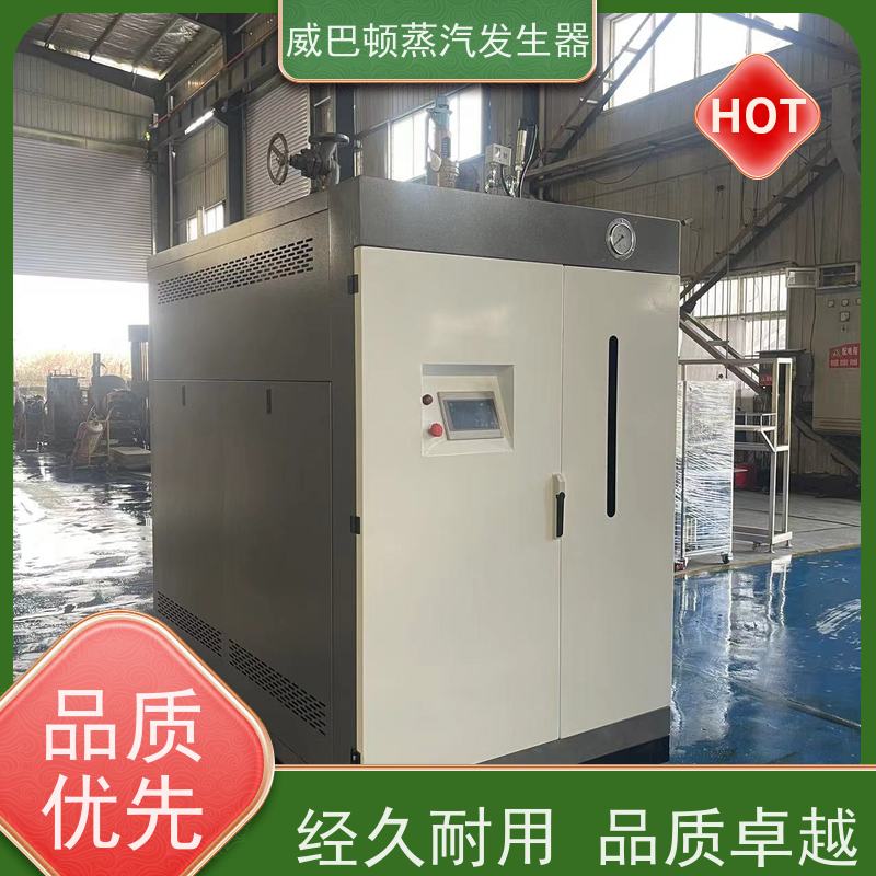  低氮冷凝 六吨蒸汽锅炉 热效率 101% 还省气 制药厂