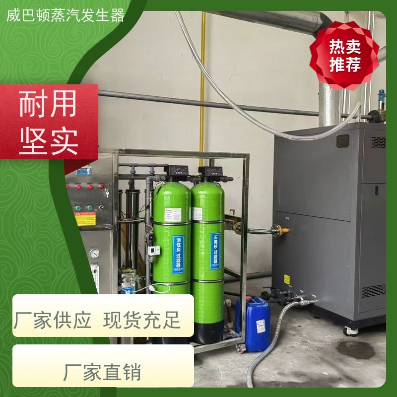  食品级 4T蒸汽发生器 热效率 101% 还省气 泡沫厂