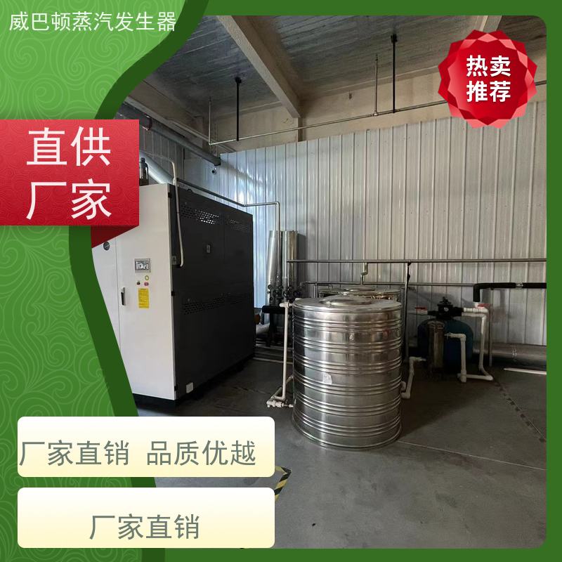  烘干熨烫 0.3T蒸汽发生器 体积小一半全 混凝土养护