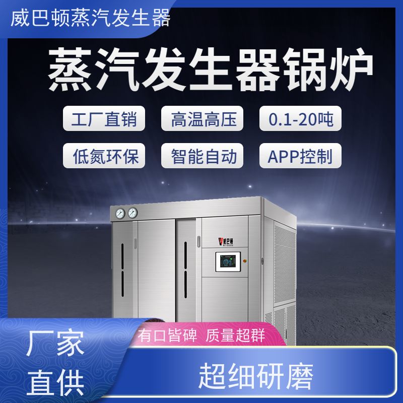  洗涤熨烫 天然气锅炉设备 体积小一半全 制药厂