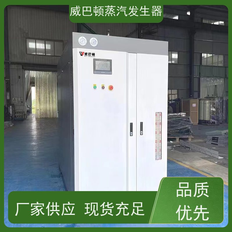 节能环保 5吨燃气锅炉 热效率 101% 还省气 豆腐腐竹加工厂