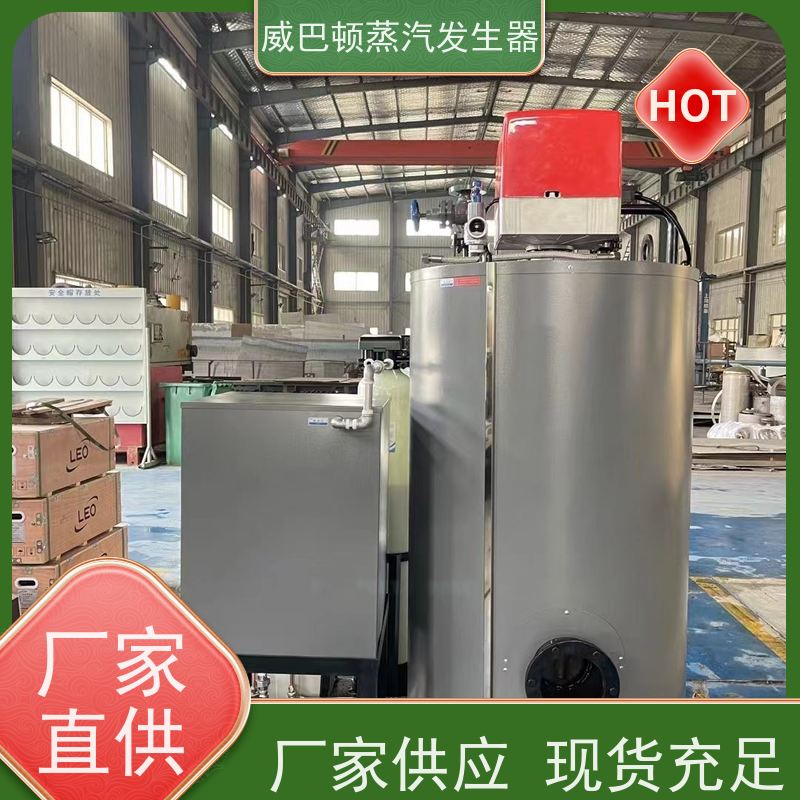  烘干熨烫 食品级蒸汽发生器 多台并联省气稳供 大棚恒温
