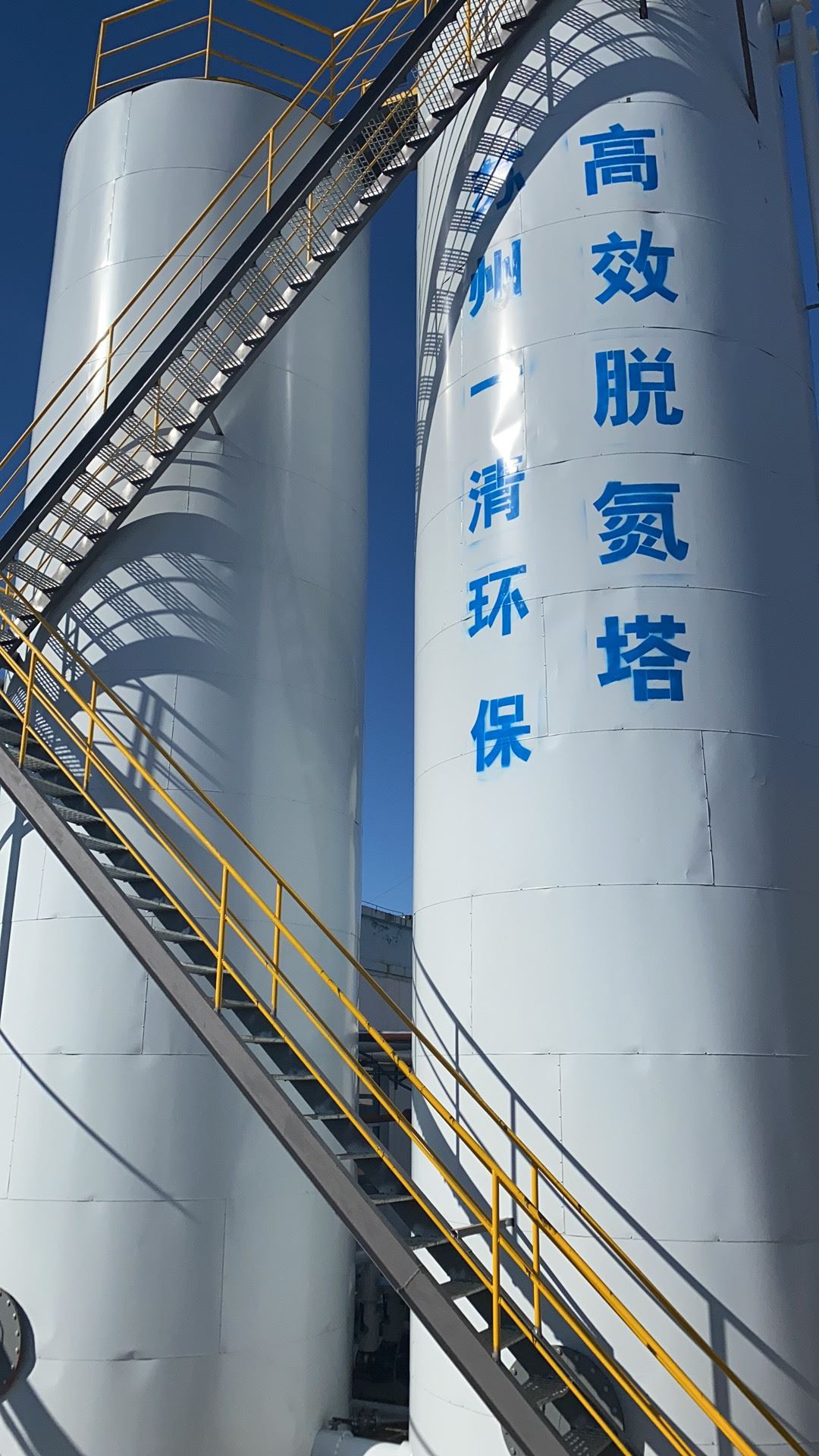 化工工业废水 污水厂脱氮 用于酸洗行业 专用总氮去除菌种 反应快