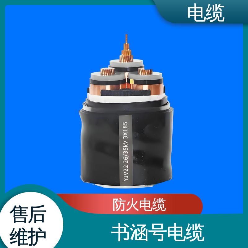天康 YGCR 带铠电缆 良好的服务体系 规模生产 来图定制