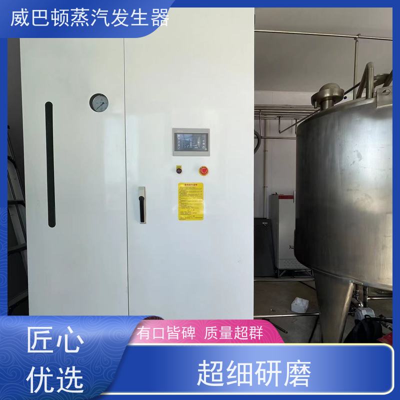  低氮冷凝 模块蒸汽发生器 体积小一半全 造纸厂