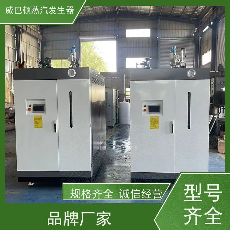  新型国标 不锈钢蒸汽发生器 热效率 101% 还省气 泡沫厂