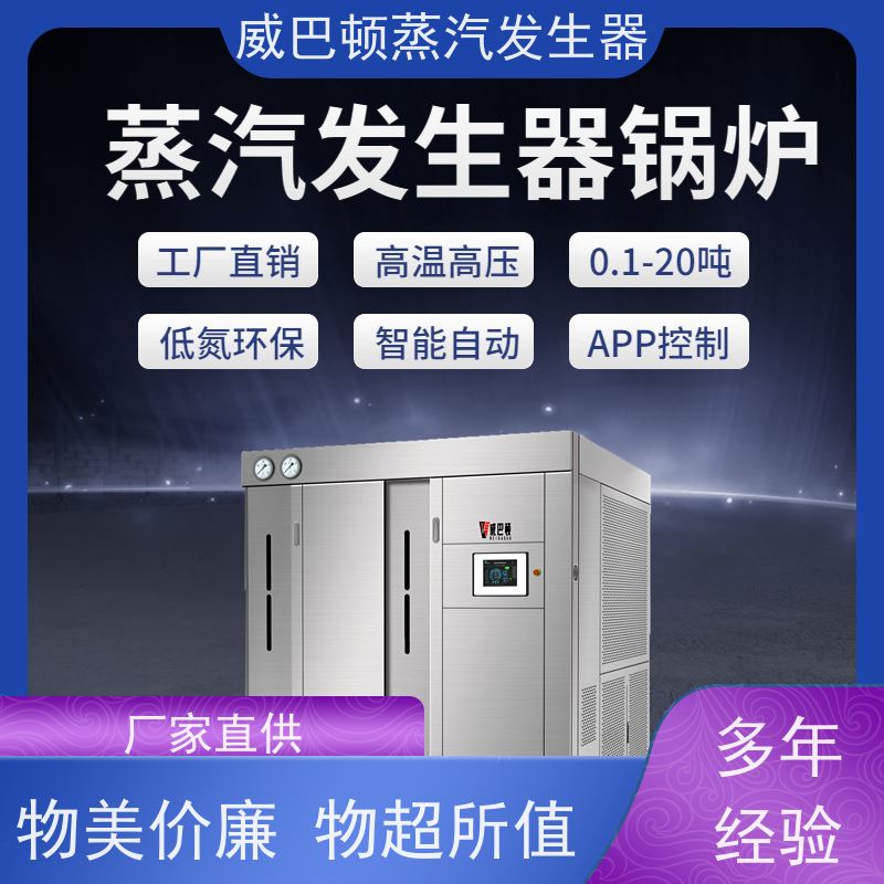  食品级 6T蒸汽发生器 体积小一半全 混凝土养护