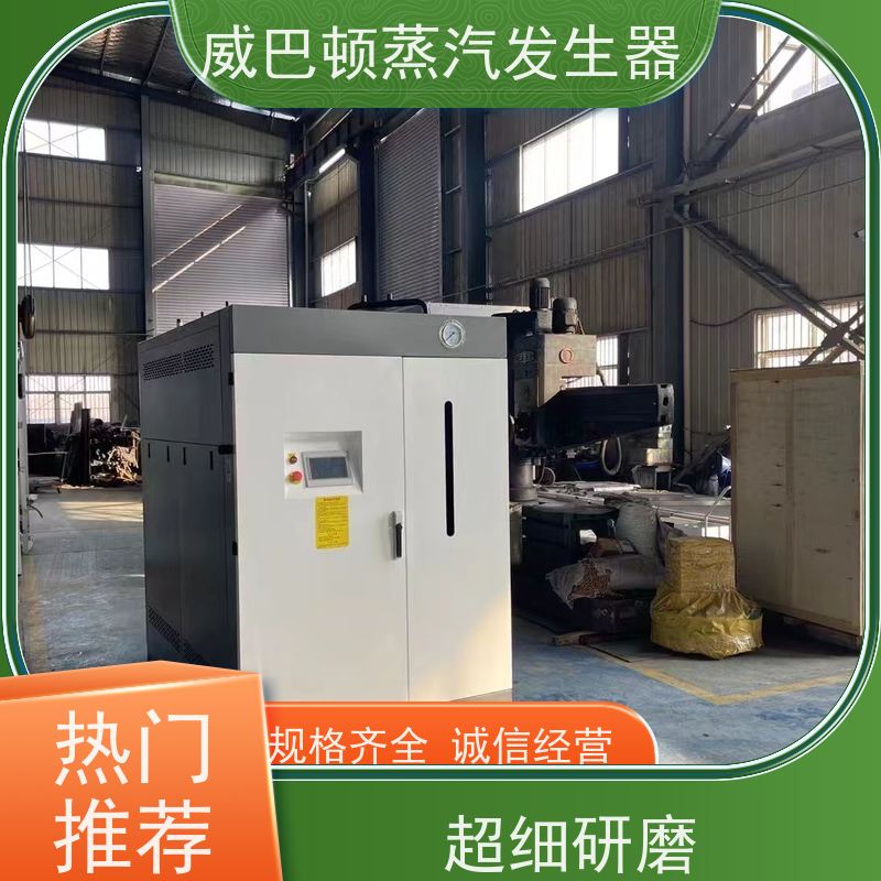  灭菌消毒 立式蒸汽发生器 水容积≤30L，合规又省心 化工厂