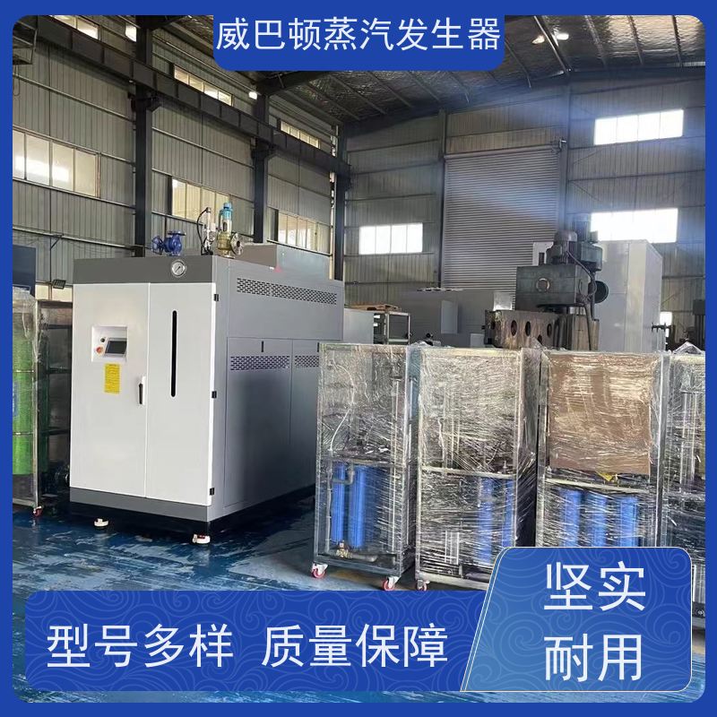  低氮冷凝 5吨燃气锅炉 水容积≤30L，合规又省心 混凝土养护