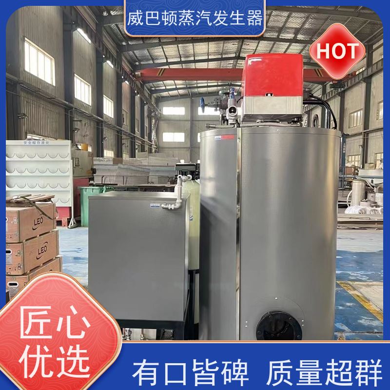  低氮冷凝 蒸馒头专用锅炉 体积小一半全 酿酒厂