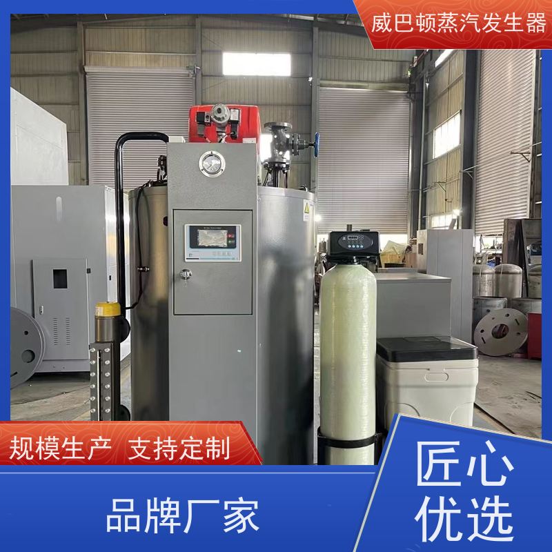  不锈钢 食品级蒸汽发生器 水容积≤30L，合规又省心 混凝土养护