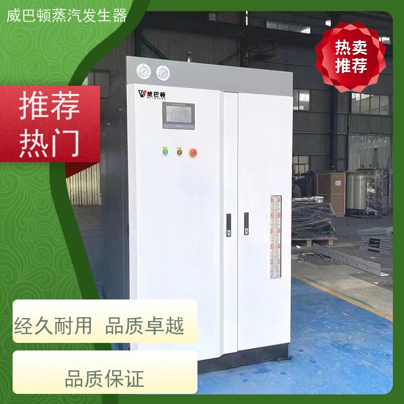  灭菌消毒 洗涤蒸汽发生器 水容积≤30L，合规又省心 混凝土养护