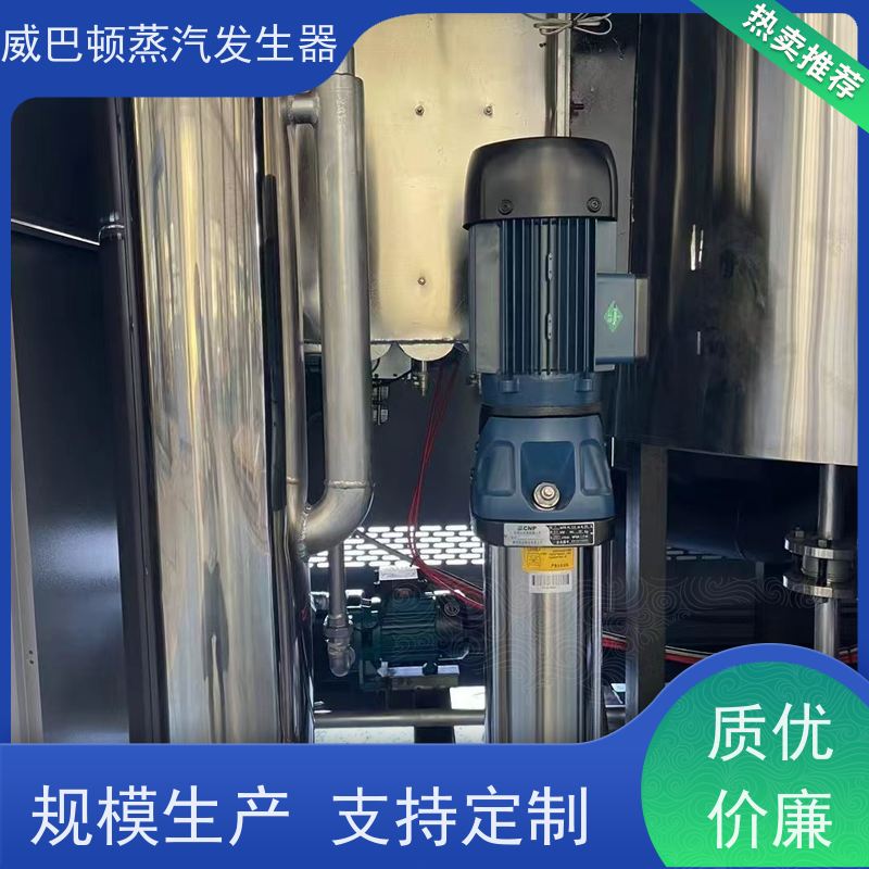  洗涤熨烫 2吨蒸汽发生器 小车间也能轻松装 酿酒厂