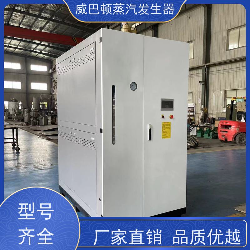  节能环保 5吨燃气锅炉 水容积≤30L，合规又省心 混凝土养护