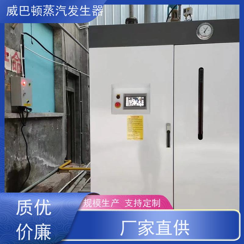  免登记 蒸馒头专用锅炉 热效率 101% 还省气 智能控温