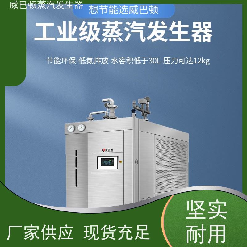  节能环保 5吨燃气锅炉 体积小一半全 混凝土养护