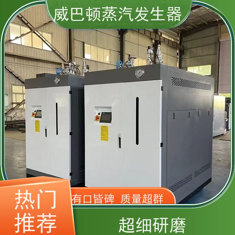  免登记 贯流蒸汽锅炉 热效率 101% 还省气 智能控温