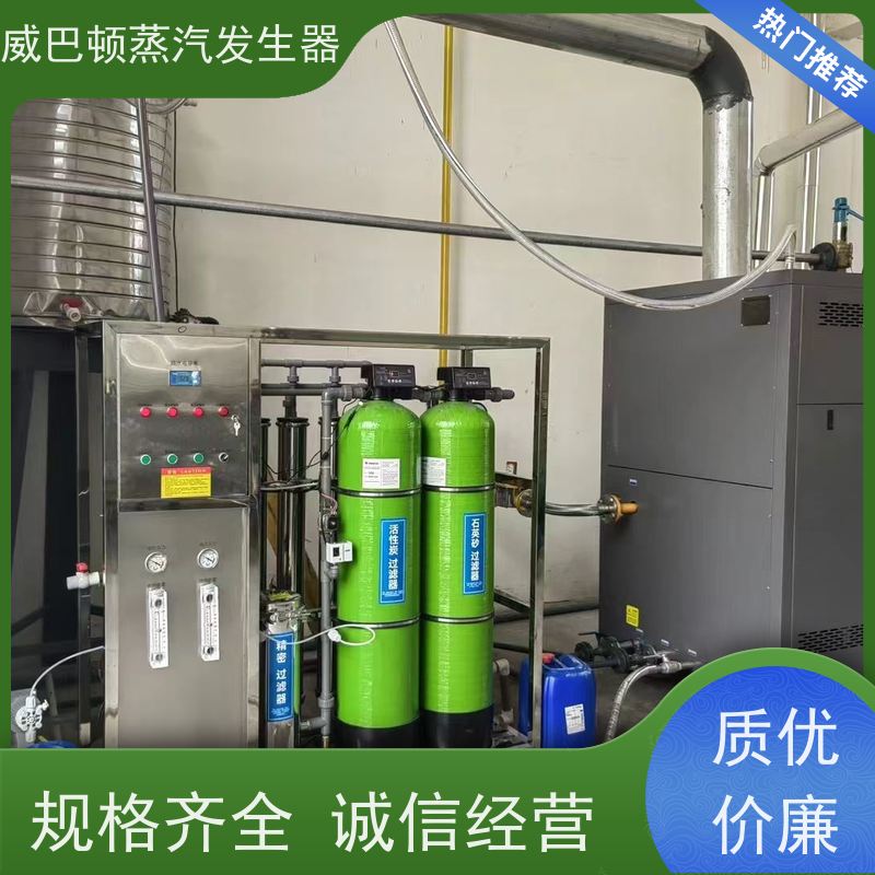  低氮冷凝 食品级蒸汽发生器 小车间也能轻松装 混凝土养护