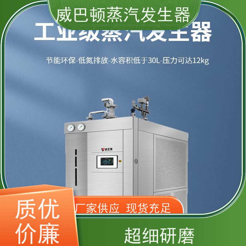  节能环保 小型锅炉 体积小一半全 豆腐腐竹加工厂