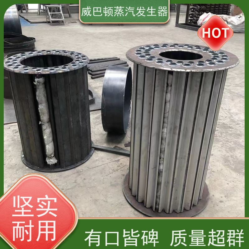  不锈钢 6吨热水锅炉 水容积≤30L，合规又省心 食品厂