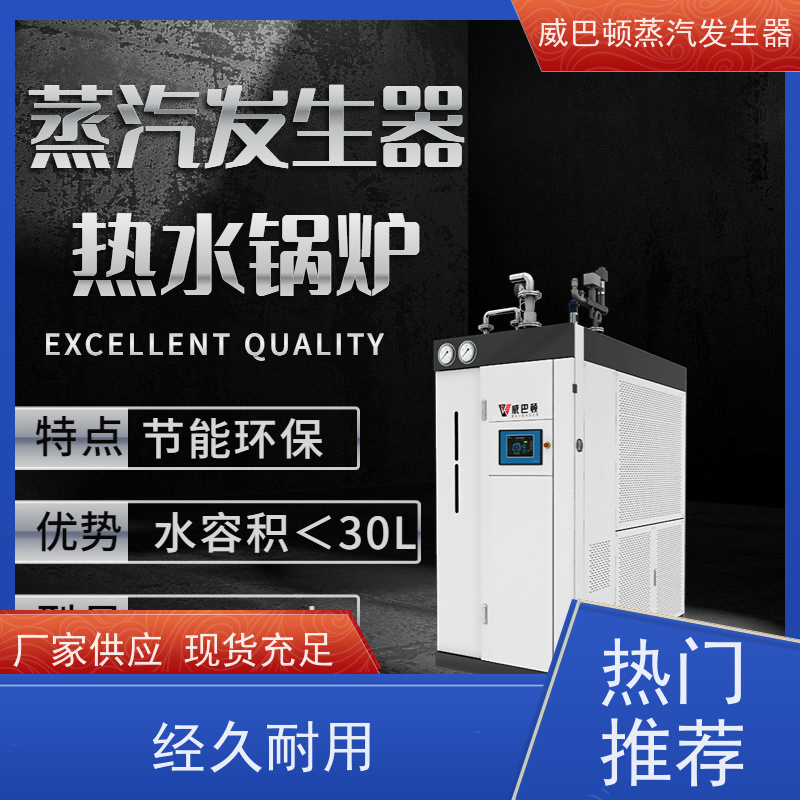  食品级 5吨燃气锅炉 热效率 101% 还省气 混凝土养护