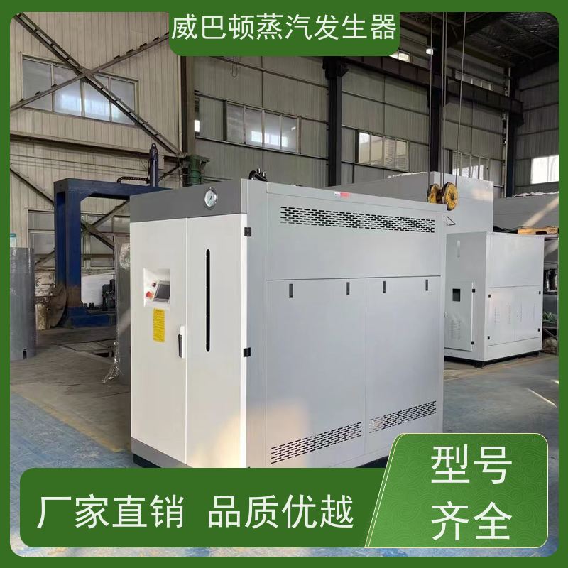  烘干熨烫 环保型锅炉 水容积≤30L，合规又省心 制药厂