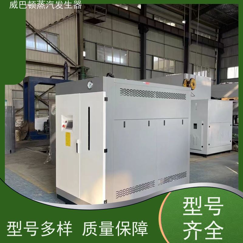  低氮冷凝 洗涤蒸汽发生器 多台并联省气稳供 智能控温