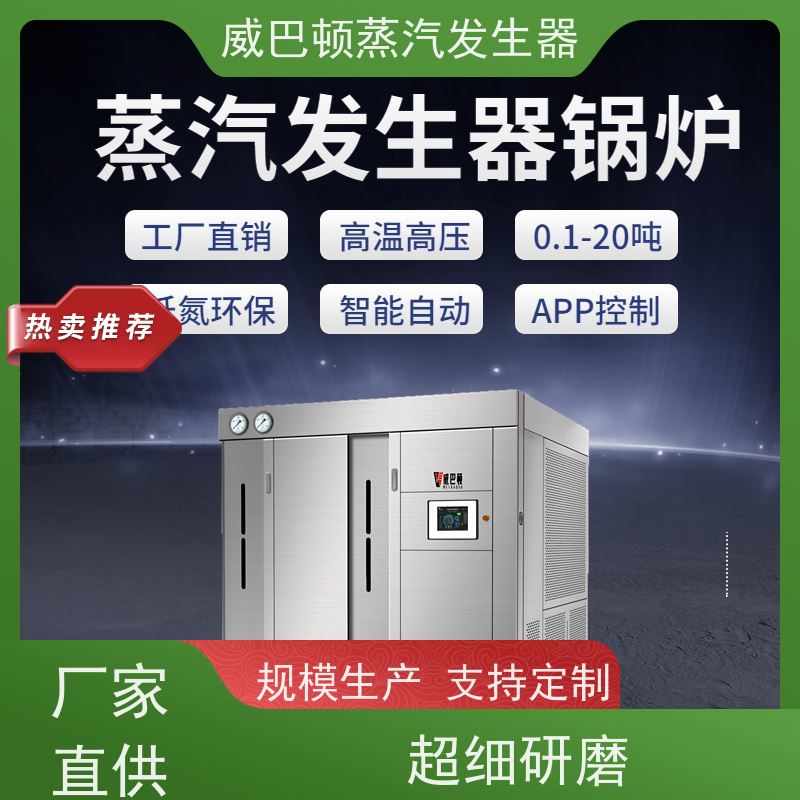  低氮冷凝 工业蒸汽发生器 操作简单 豆腐腐竹加工厂