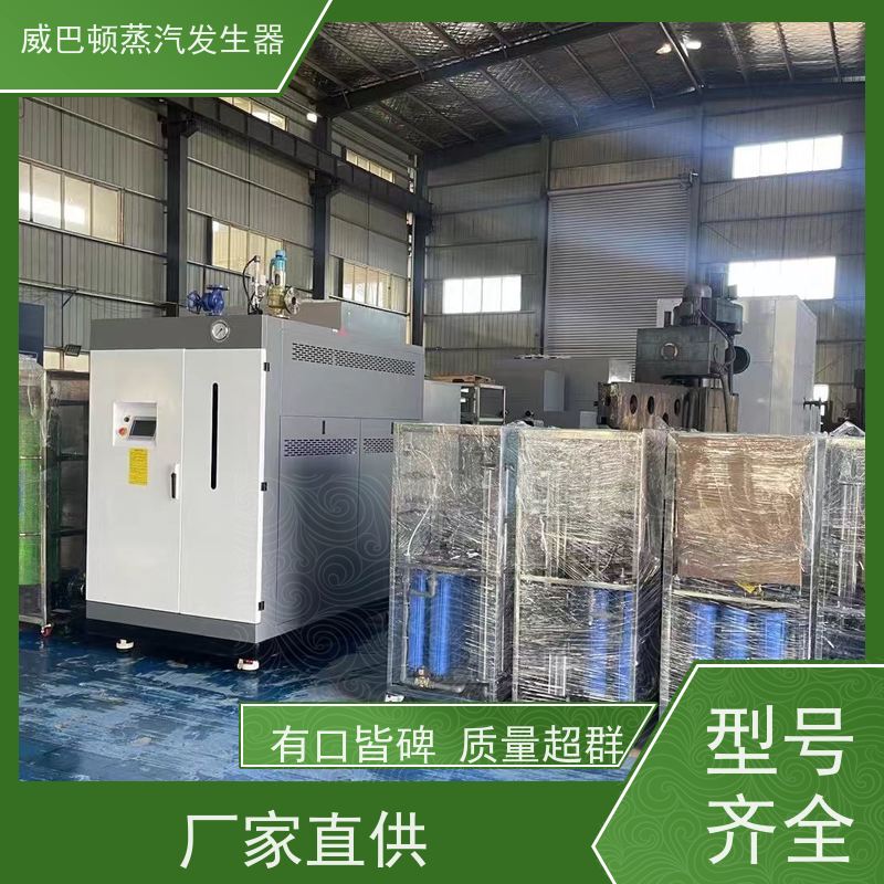  低氮冷凝 洗衣房锅炉 多台并联省气稳供 智能控温