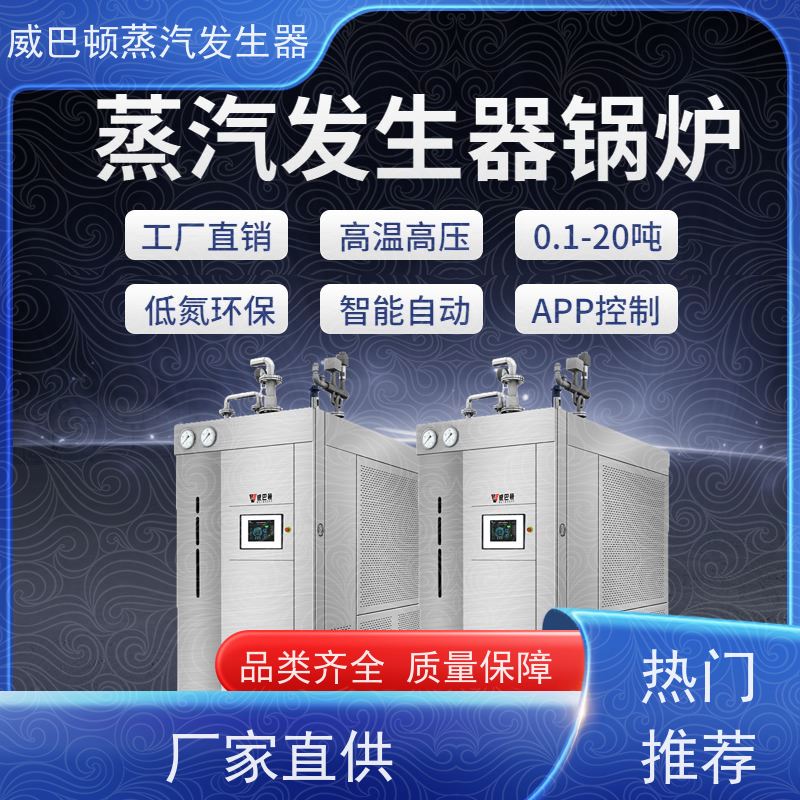  洗涤熨烫 立式蒸汽锅炉 热效率 101% 还省气 制药厂
