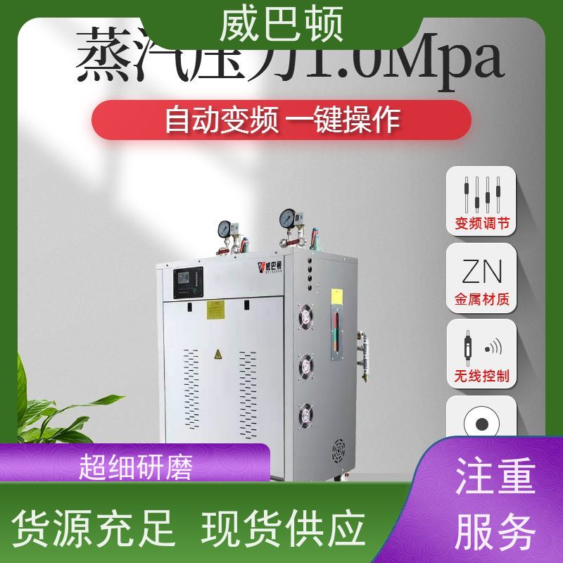  一键启动 免特检 304 不锈钢内胆 216KW电蒸汽发生器
