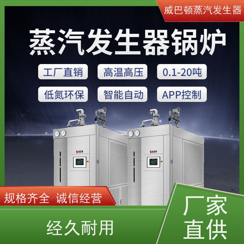  节能环保 5吨蒸汽锅炉 小车间也能轻松装 豆腐腐竹加工厂