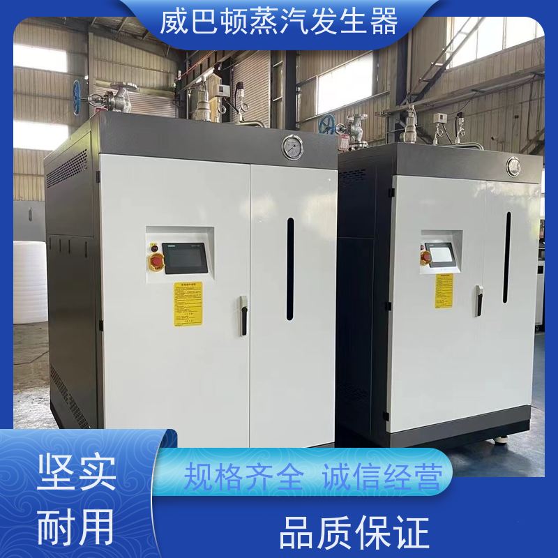  食品级 1吨燃气热水锅炉 体积小一半全 混凝土养护