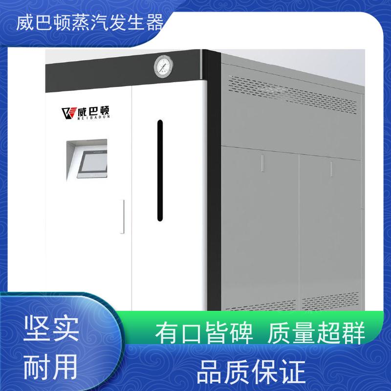  不锈钢 液化气热水锅炉 多台并联省气稳供 造纸厂