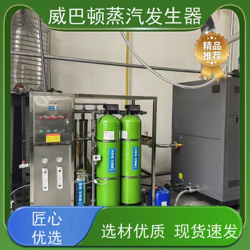  烘干熨烫 模块锅炉 水容积≤30L，合规又省心 大棚恒温