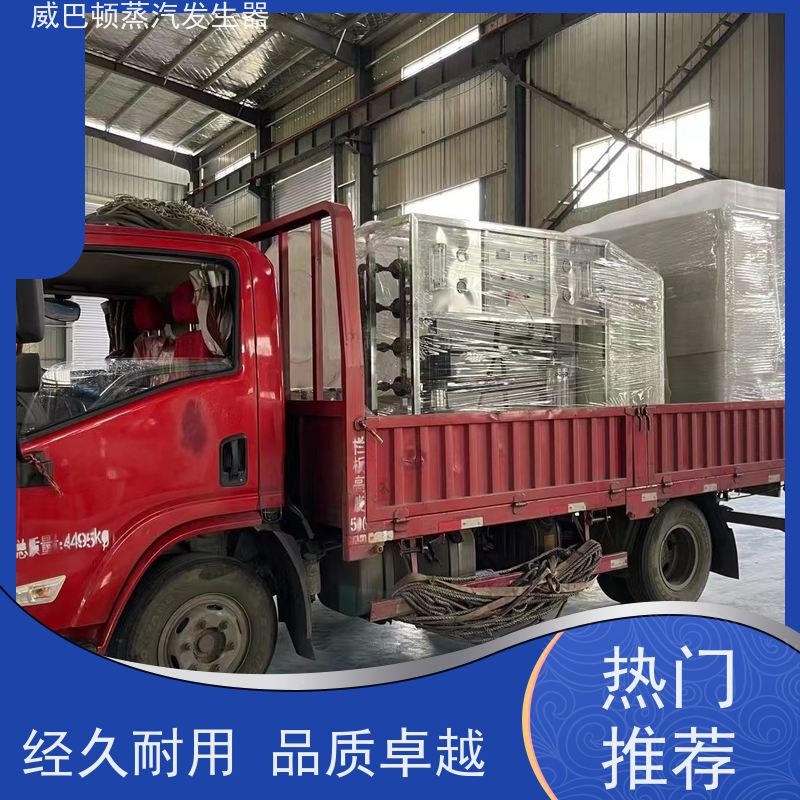 灭菌消毒 液化气热水锅炉 水容积≤30L，合规又省心 反应釜