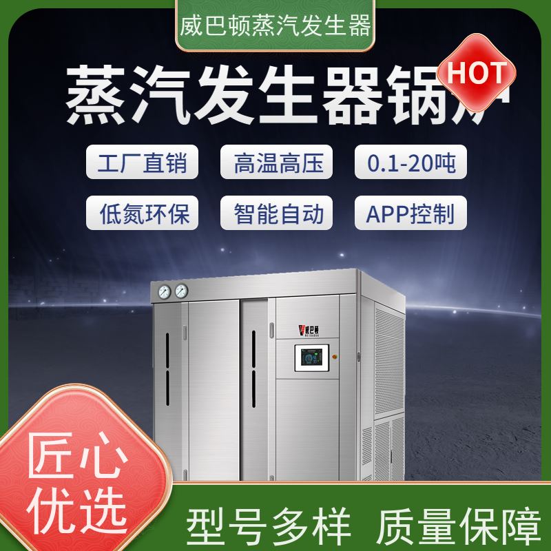  灭菌消毒 0.6T蒸汽发生器 热效率 101% 还省气 食品厂