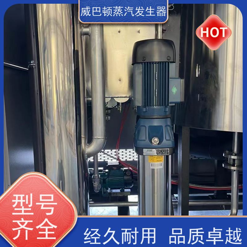  低氮冷凝 1吨天然气锅炉 体积小一半全 混凝土养护